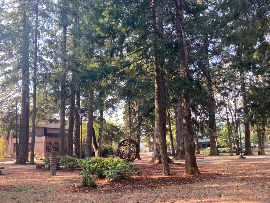 Garść myśli o college’u