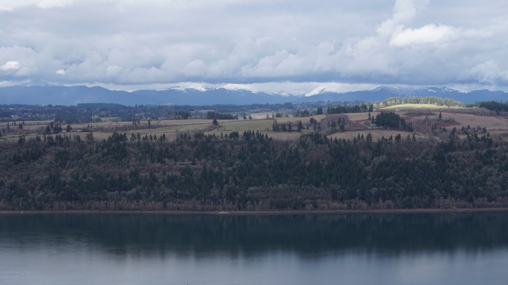 Styczniowe kartki z kalendarza (2023)