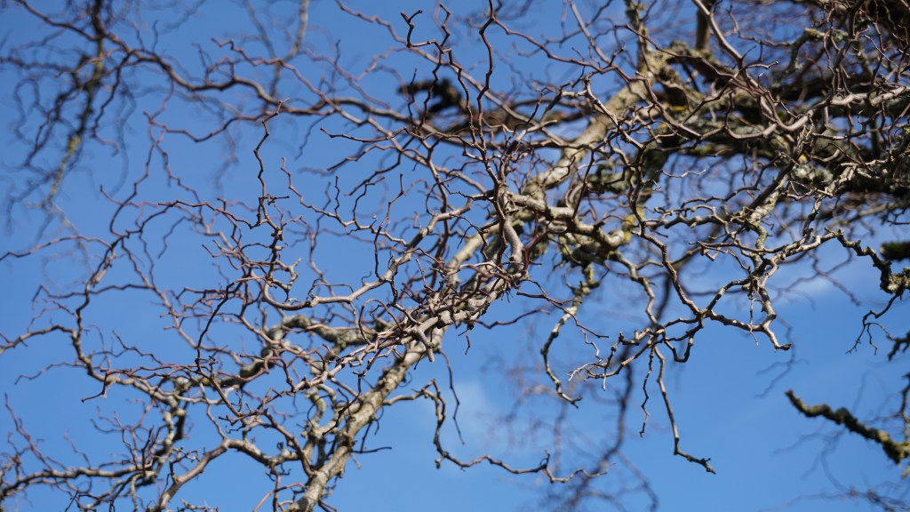 Lutowe kartki z kalendarza (2023)