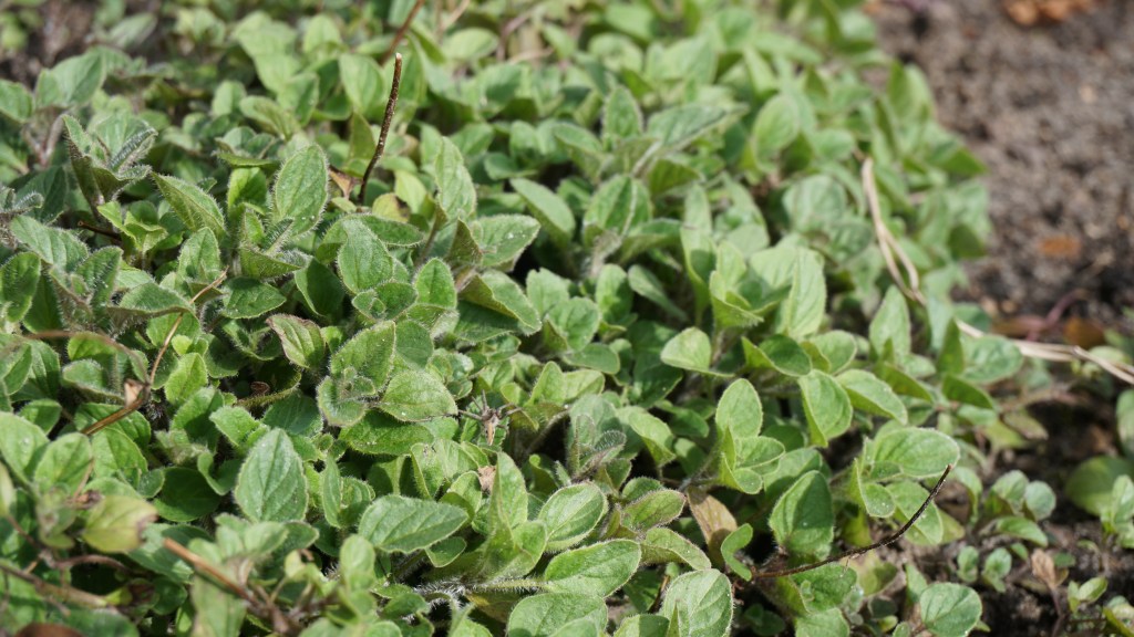 Kwietniowe kartki z kalendarza (2023)