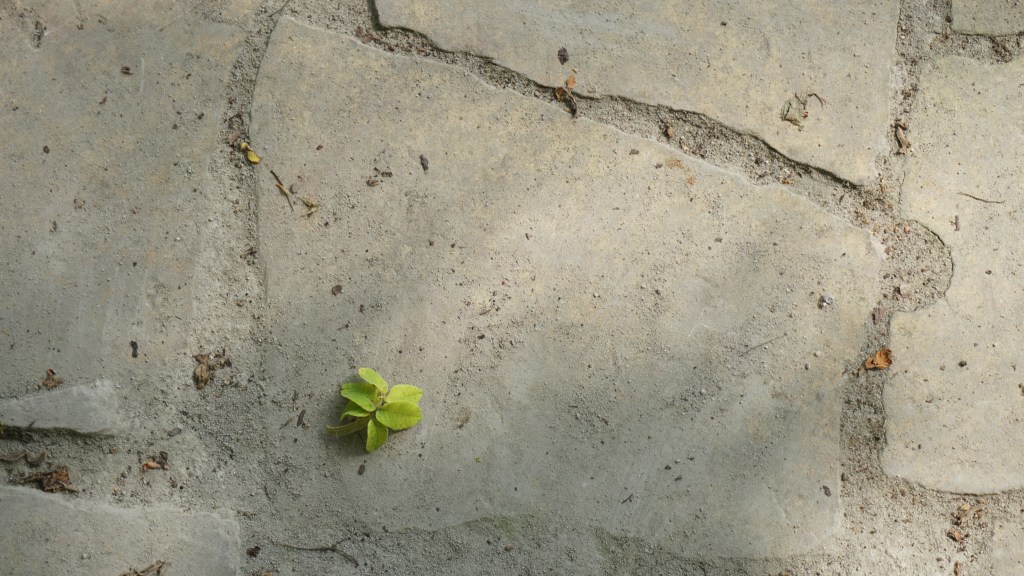 Majowe kartki z kalendarza (2023)