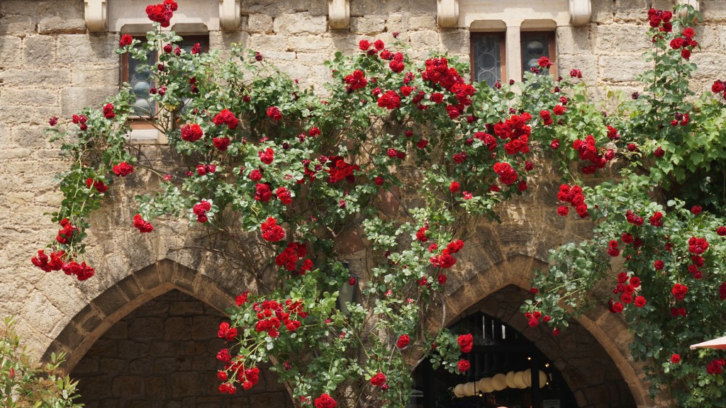 Czerwcowe kartki z kalendarza (2023)