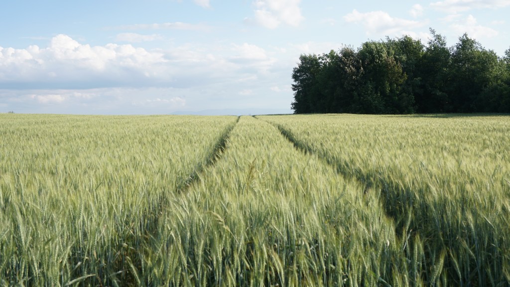 Lipcowe kartki z kalendarza (2023)